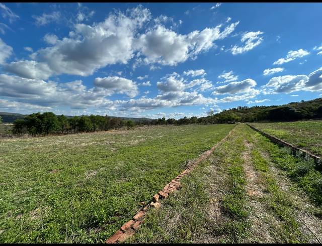FARM FOR SALE IN SCHURVEBERG AH
